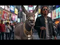 Download Lagu Wiz Khalifa - Rebel Donkey | Music Lyrics