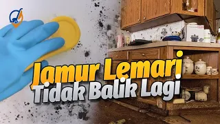 tips terbaru cara menghilangkan jamur di lemari dan mencegah jamur kembali oke clean