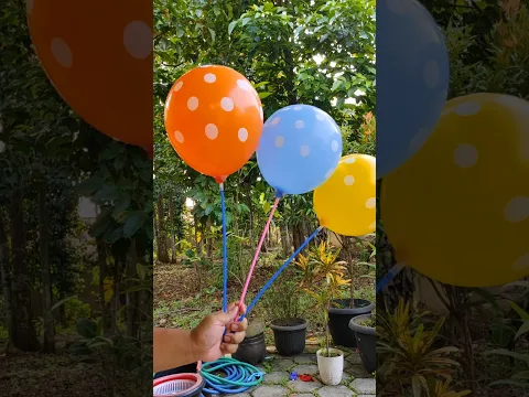 balon polkadot #short #balloon