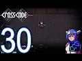 CrossCode PC Walkthrough - Part 30