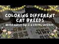 Coloring Cats Alcohol Marker Tutorial