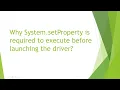System setProperty for browser drivers
