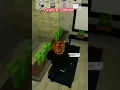 Download Lagu Scary Brookhaven Secrets😨