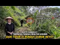 Download Lagu DI LUAR DUGAAN!! ADA WANITA PEMBERANI YANG TINGGAL DI RUMAH GUBUK REYOD TENGAH HUTAN JAWA BARAT