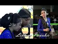 Download Lagu MBLUDAK NEH GADHING PAWUKIR NYAWIJI KARO LINTANG KAIRO