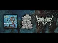 Download Lagu FLAAHGRA - PLANT-BASED ANATOMY [OFFICIAL ALBUM STREAM] (2024) SW EXCLUSIVE