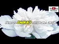 Download Lagu Elvy Sukaesih Datang Untuk Pergi Lirik Original
