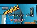 Download Lagu terapi pleci waktu hujan. di jamin langsung nyaut!