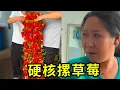 Download Lagu 草莓大厦竣工了！厚脸皮朋友摘草莓，摿出天际，老板白眼翻到后脑勺！#搞笑 #大熱門 #厚脸皮 #司氏砸缸