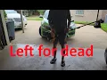 4 Stroke Cub Cadet - left for dead