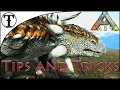 Fast Ankylosaurus Taming Guide Ark Survival Evolved Tips and Tricks