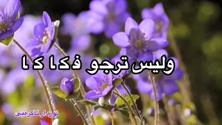 نشيد ياقلب ماذا دهاك نشيد رائع 
