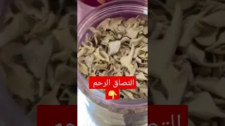 علاج إلتصاق الرحم وانسداد قنوات فالوب مجربة ١٠٠ Shorts 