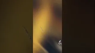 مصاحبش الفرافير حتى لوراكبين فراري دندنها