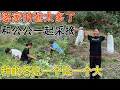 Download Lagu 没想到嫁到婆家了还有地种，各种各样的蔬菜都有，满地的冬瓜全部带回家，又是收获满满的一天