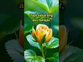 Download Lagu Bijak #quotes #catatanmotivasi #motivasi #foryou #katahatimotivasi