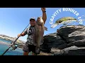 4 Massive Grouper strikes on the new Gravity Runner 100 Feat SGS6 rod Savage Angler 60-150gr