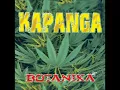 Kapanga - Sol (AUDIO)