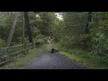 Clifton Hicks - Swannanoa Tunnel (Asheville Junction, The Pea Fowl, Nine Pound Hammer)