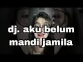 Download Lagu dj di dunia ini x aku belum mandi tiktok !!