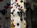 IMG 1990