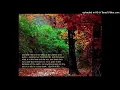 Download Lagu Quran - Abdul Wadood Haneef - Surah 005 - Al-Maidah (TheTableSpread)