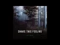Download Lagu Shake This Feeling