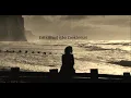 Erkin Koray - Öyle Bir Gecer Zaman Ki