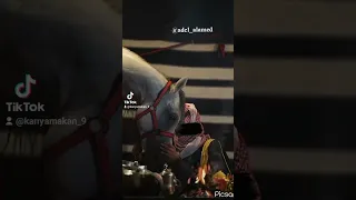 عزيز نفس عبدالكريم الجباري 