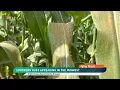 AgDay Minute 26