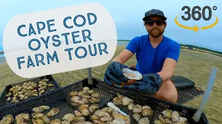 Cape Cod Oyster Farm Tour In 360
