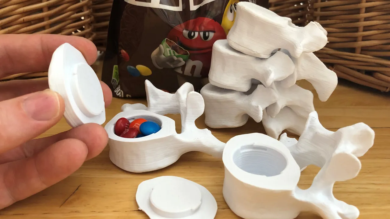 Vertebrae with Secret Compartments