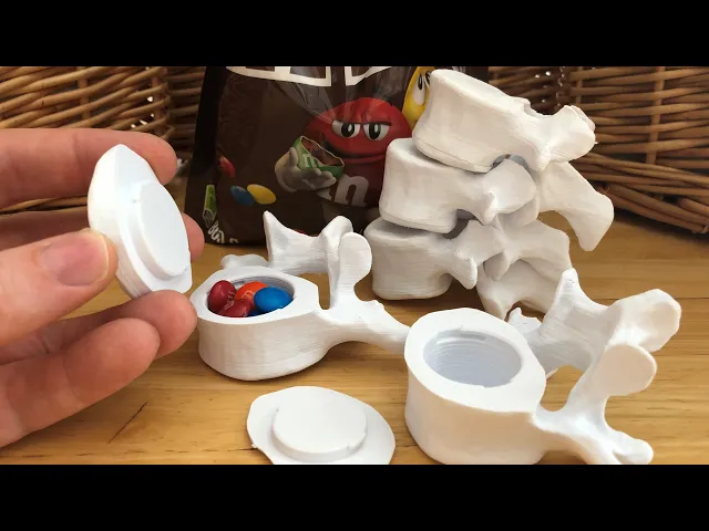 Vertebrae with Secret Compartments video thumbnail
