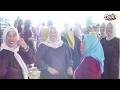 Download Lagu PANTUN CINTA  | ALLICA MUSIC | LIVE LAIS
