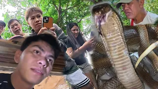 ANG LALAKI AT ANG TATAPANG NG COBRA SA FARM 😱