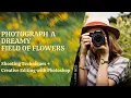 Impressionistic field of flower photography