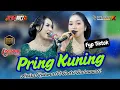 Download Lagu PRING KUNING ( VERSI COKEK SRAGENAN ) ANISA RAHMA FT INDRI BALUWARTI || DEWARUCI MUSIC OFFICIAL LIVE