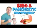 Download Lagu El sorprendente vínculo entre el SIBO y los problemas del páncreas