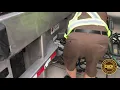Hooking a set of doubles