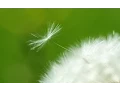 Download Lagu Mishary Rashid Alafasy | Adhan (Call To Prayer) | Fajr | مشاري راشد العفاسي