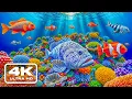Download Lagu Aquarium 4K VIDEO ULTRA HD – Graceful Marine Creatures in a World Without Sound