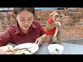 Download Lagu Baby Monkey Dodo And Mom Eating Stir Fried Noodles For Lunch