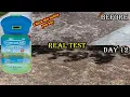 Hydro Mousse Liquid Lawn System - Grow Grass Where You Spray It Real Test