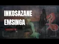Download Lagu Ayanda Msweli Foundation | Inkosazane eMsinga