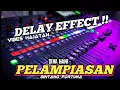 Download Lagu PELAMPIASAN ~ DIVA HANI ~ BINTANG FORTUNA | DELAY EFFECT VIRAL TIKTOK ‼️