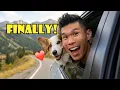 Lagu SOLO CORGI TRAVEL: I Can't Believe We Did This  || Life After College: Ep. 820