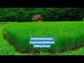 Download Lagu Relaxing Sundanese Music, Suitable for Relaxation | Flute, Lute | No Copyright