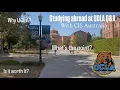 Studying abroad at UCLA on campus Q A with cis - australia