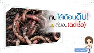  ทำไมการรับประทานไส้เดือนดิบถึงอันตรายต่อสุขภาพ 