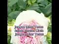 Download Lagu Jangan Tukar Yesus - Putri Siagian - Lirik Lagu Rohani